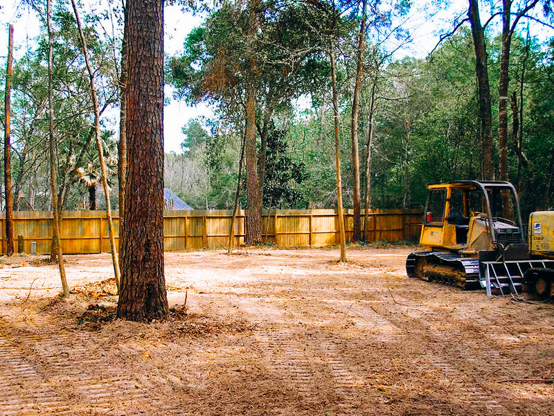 Big Bear Land Management | Land Clearing & Forestry Mulching in South ...